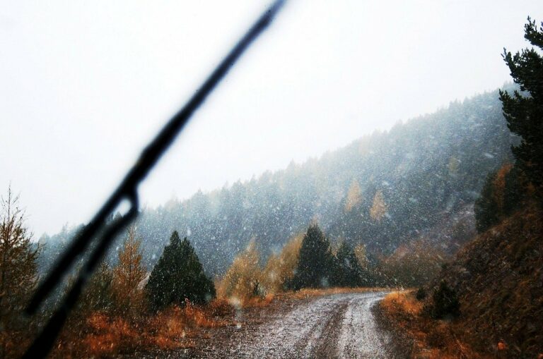 mountain road, snowing, snow